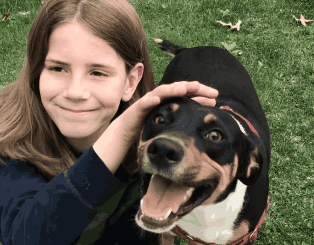 开门时狗狗不叫，为什么开门狗狗叫 - 警犬训练器材厂家 _警犬训练用品_工作犬训练用品-南京开久警犬装备-警犬训练器材厂家 _警犬训练用品_工作犬训练用品-南京开久警犬装备