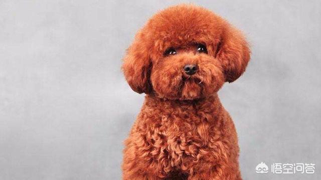 20221103163251_57264