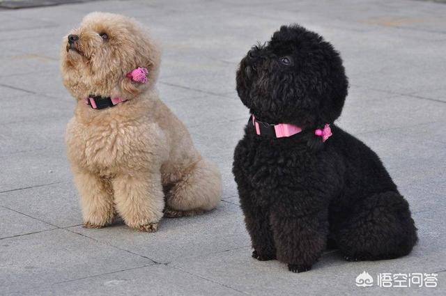 20221103163252_49659