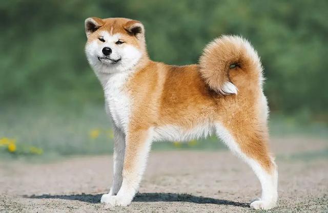 20221103163531_53366 20221103163531_53366