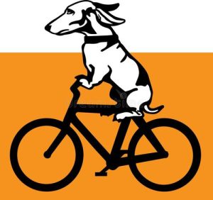 小狗骑车 *** 大全，小狗骑车的 ***-警犬训练器材厂家 _警犬训练用品_工作犬训练用品-南京开久警犬装备