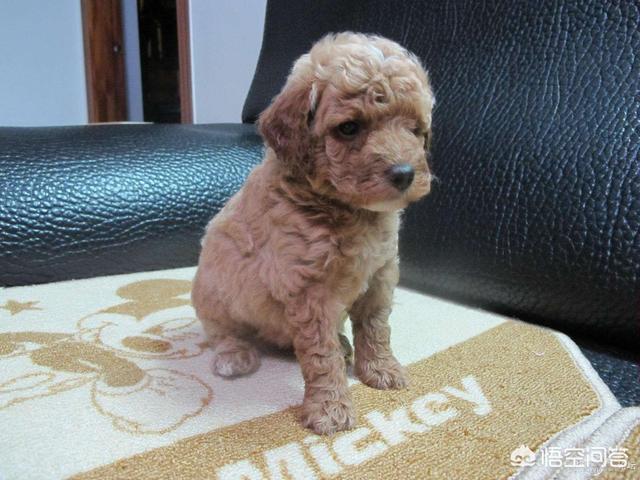 20221104004150_16945