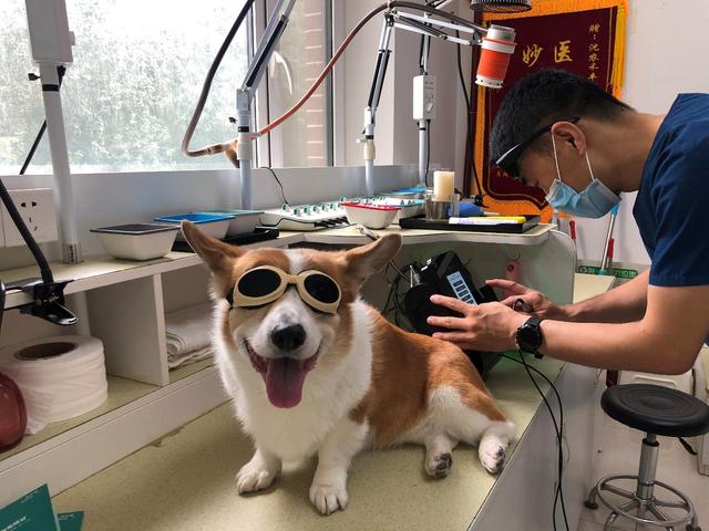 20221104091313_17046