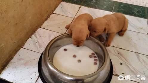 20221105082846_47239 20221105082846_47239