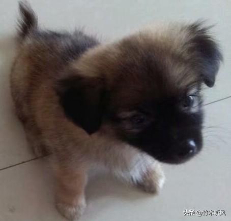 20221105082846_99711 20221105082846_99711