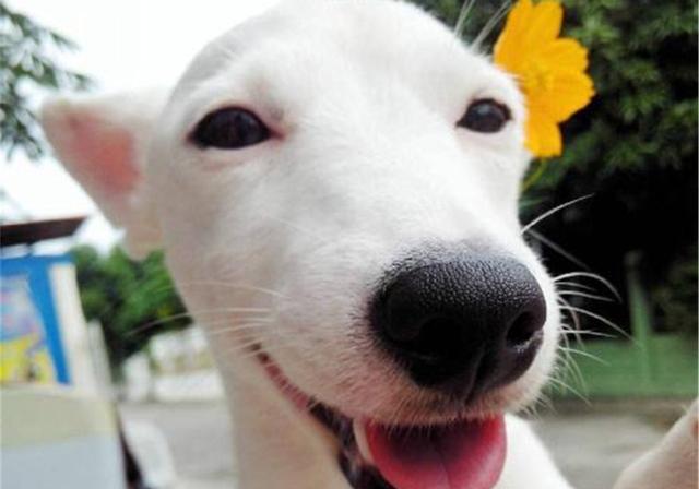 20221105115317_87795 20221105115317_87795