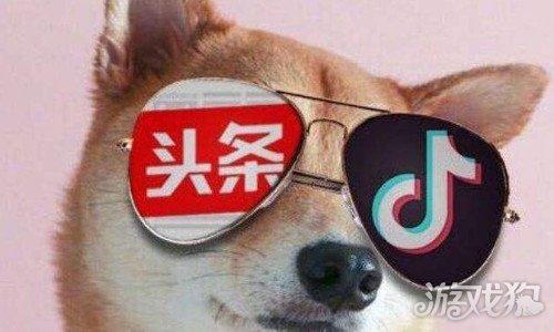 怎样和狗狗增加亲密度？qq上的亲密度排行榜是怎样增加的? - 警犬训练器材厂家 _警犬训练用品_工作犬训练用品-南京开久警犬装备-警犬训练器材厂家 _警犬训练用品_工作犬训练用品-南京开久警犬装备