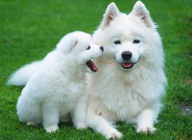 20221105123543_22468 20221105123543_22468