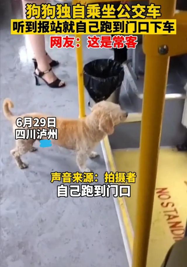 20221105125602_89437 20221105125602_89437