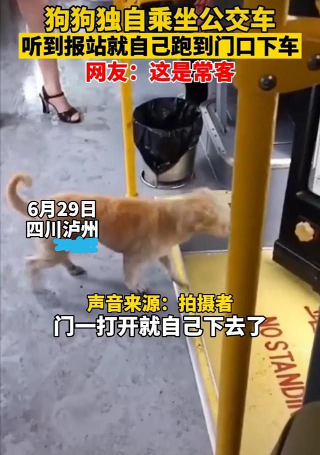 20221105125603_65815 20221105125603_65815