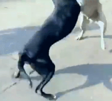 20221105182204_42613 20221105182204_42613