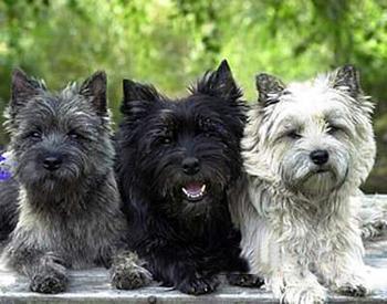 20221106110400_33437