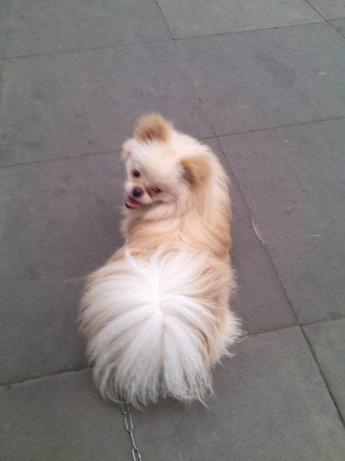 20221106125539_34132 20221106125539_34132