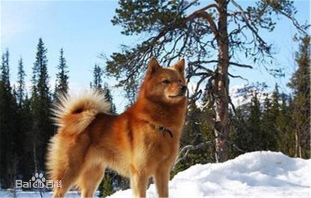 20221106125540_75450 20221106125540_75450