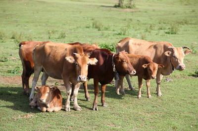 20221106145240_60435