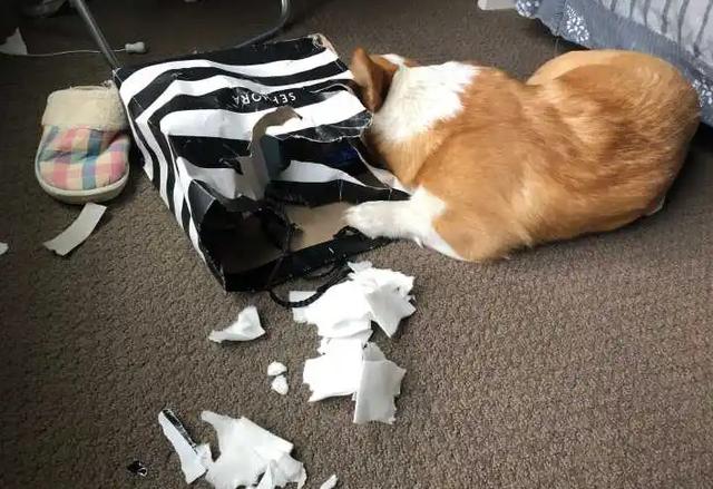 20221106175817_51646