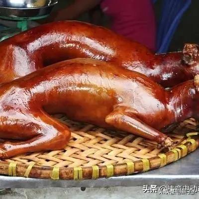 20221106194812_43462