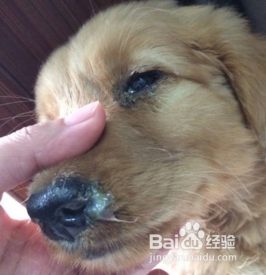 20221106202841_32121 20221106202841_32121