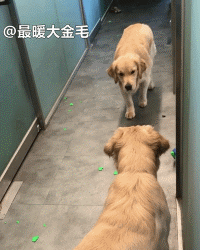 20221107083815_55992