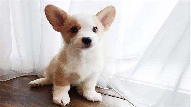 20221107102128_59915