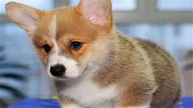 20221107102128_81444