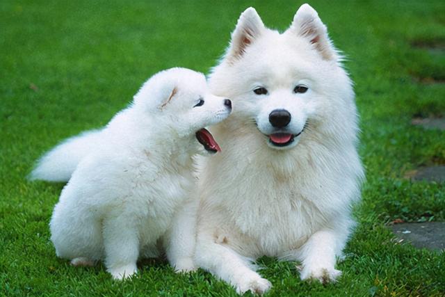 20221107120306_65659 20221107120306_65659