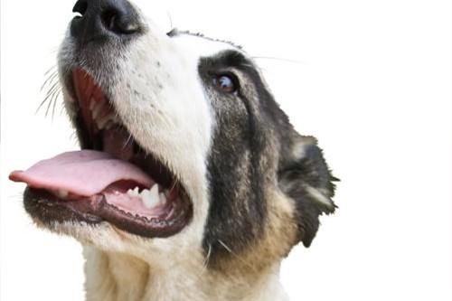 20221107120306_98453 20221107120306_98453