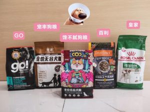 茶杯犬能活多久(茶杯犬好不好养?寿命有多长)-警犬训练器材厂家 _警犬训练用品_工作犬训练用品-南京开久警犬装备