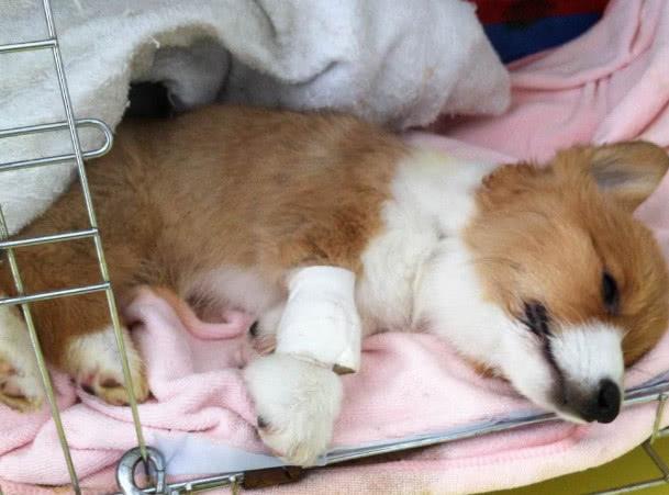 20221107152429_98706 20221107152429_98706