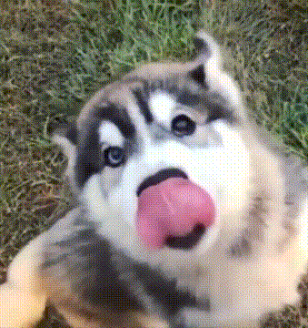 20221107182737_96565 20221107182737_96565