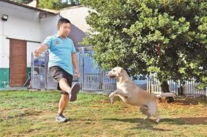 *** 犬怎么训练它叫或者不叫呢?狗狗品种-警犬训练器材厂家 _警犬训练用品_工作犬训练用品-南京开久警犬装备