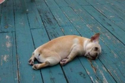 20221108100523_64451 20221108100523_64451