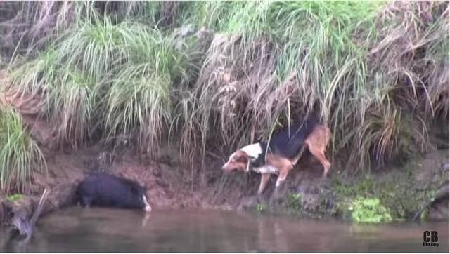 20221108100853_68167