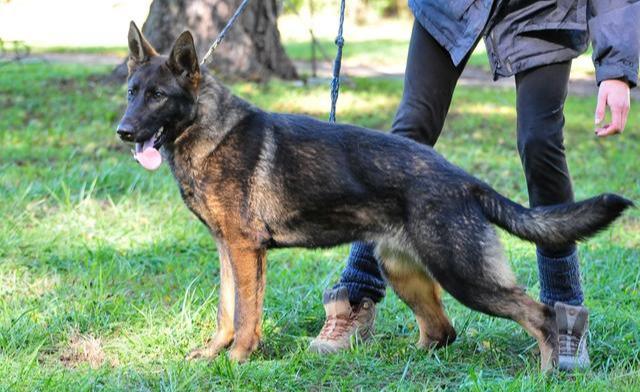 20221108105513_59187