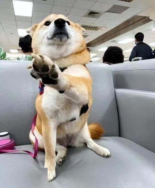 20221108125401_32792 20221108125401_32792