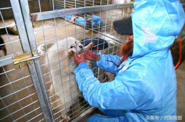 20221108125500_62022 20221108125500_62022