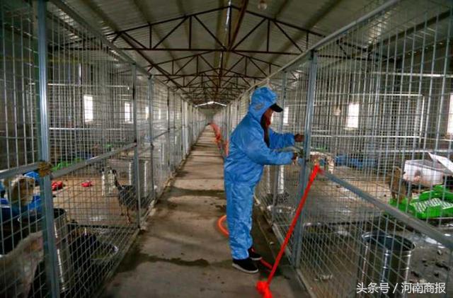 20221108125501_71385 20221108125501_71385