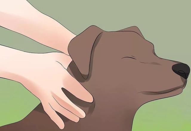 20221108131740_52641 20221108131740_52641