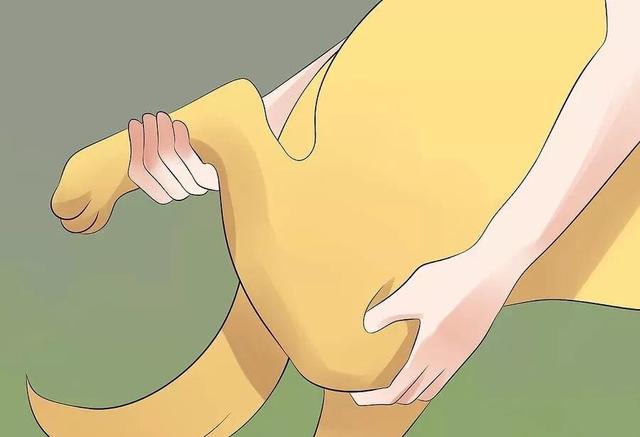 20221108131741_61410 20221108131741_61410