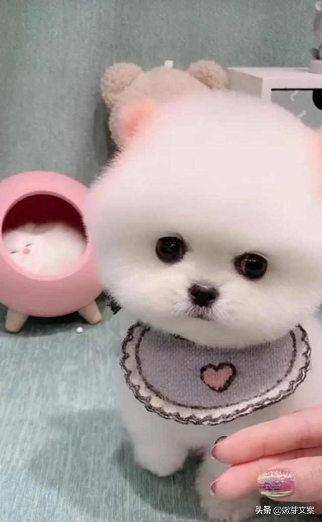 20221108153839_17936