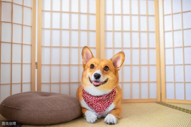 20221108161513_47031 20221108161513_47031