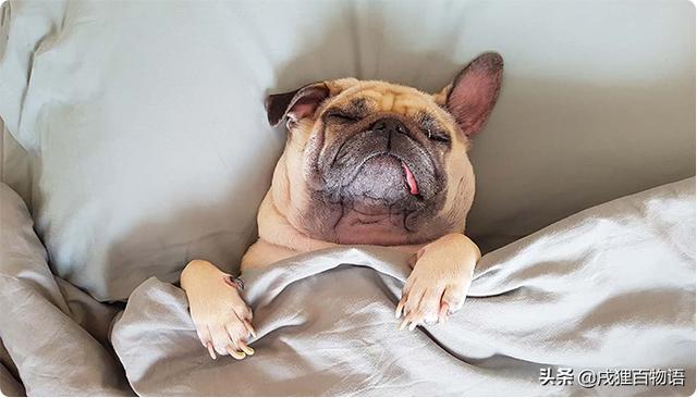 20221108164524_20845