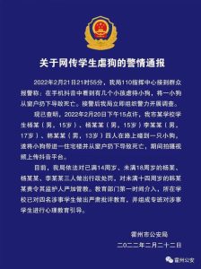 宠物狗被扔下楼(宠物狗被扔下楼金毛)-警犬训练器材厂家 _警犬训练用品_工作犬训练用品-南京开久警犬装备