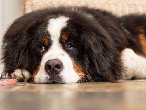 20221108180129_59902 20221108180129_59902