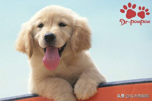 20221108185526_42704