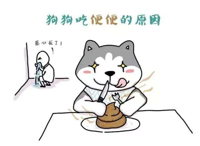 20221108190706_19696