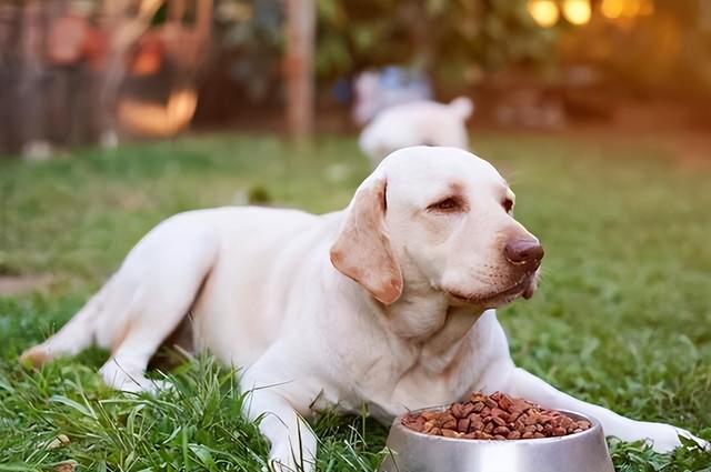 20221108192630_26603