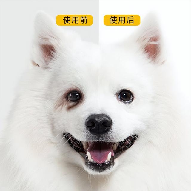 20221108192631_67829 20221108192631_67829