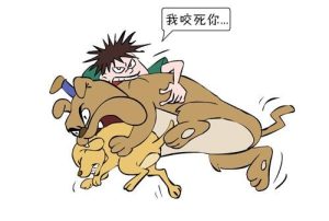 咬人的狗不叫比喻人什么意思(咬人的狗不叫比喻人什么意思的成语)-警犬训练器材厂家 _警犬训练用品_工作犬训练用品-南京开久警犬装备