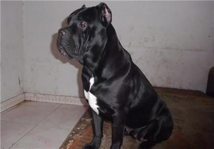 20221108193631_29471